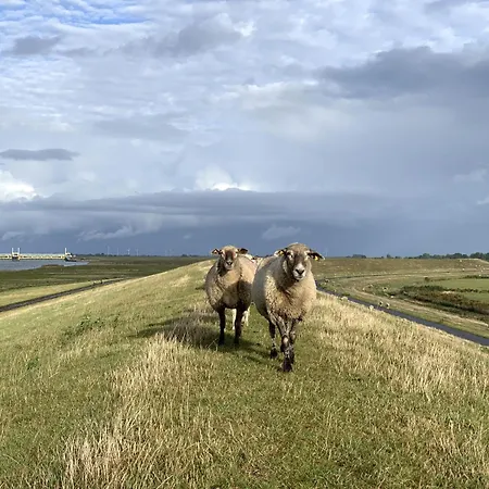 Apartamento Tichelmeister 45261