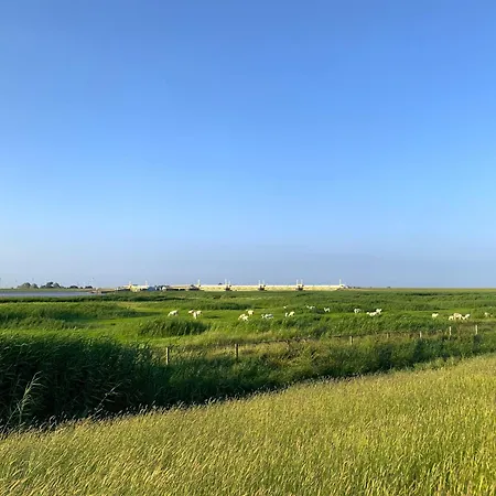 Apartment Tichelmeister 45261 *