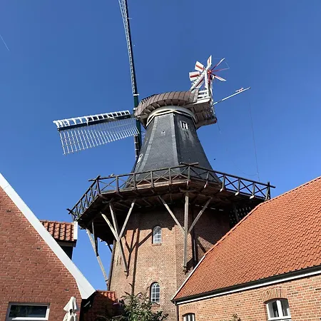 Tichelmeister 45261 Apartamento *