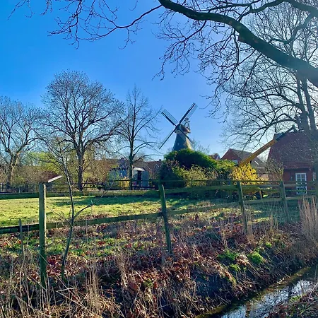 Tichelmeister 45261 * Ditzum