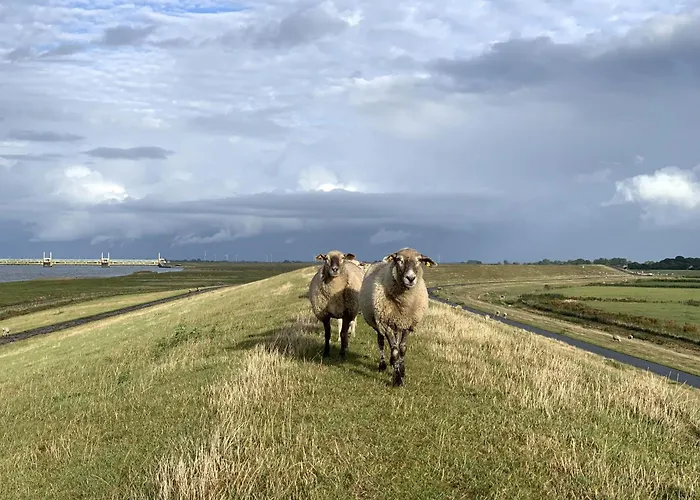 דירה Tichelmeister 45261