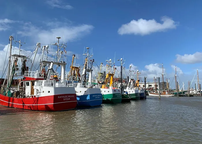 דירה Tichelmeister 45261 דיצום