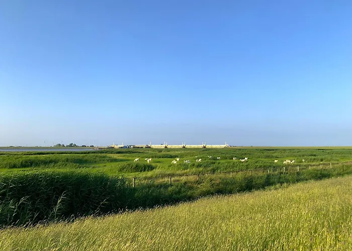 דירה Tichelmeister 45261 *