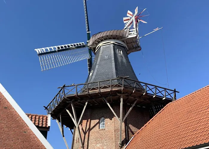 Tichelmeister 45261 דירה *