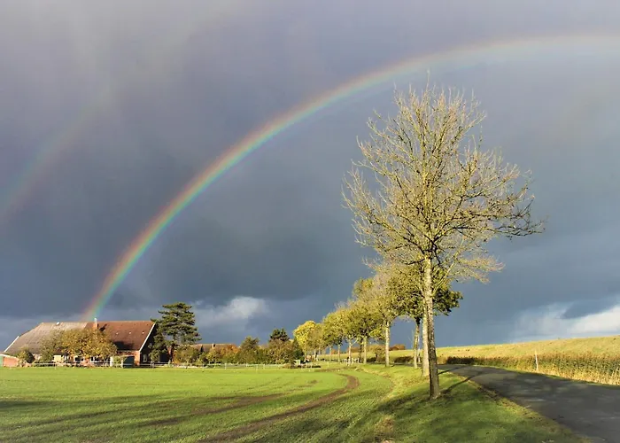 Tichelmeister 45261 דירה דיצום