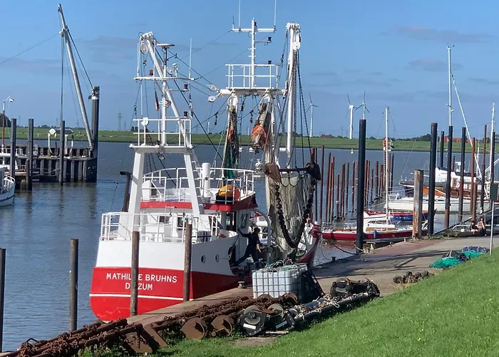 Tichelmeister 45261 דירה *