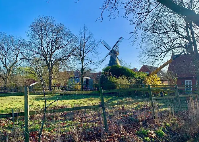 Tichelmeister 45261 * דיצום